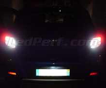Baklys LED-pakke (hvid 6000K) til Dacia Sandero 2