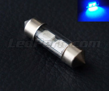 Blå LED-pinolpære 31mm - C3W