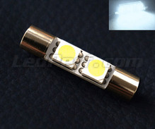 Hvide LED-pinolpære 29mm SLIM