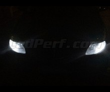 LED-parkeringslys-pakke (xenon hvid) til Lancia Ypsilon