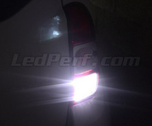 Baklys LED-pakke (hvid 6000K) til Dacia Duster