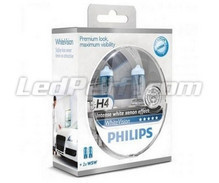Pakke med 2 H4-pærer Philips WhiteVision + 2 W5W WhiteVision (Ny!)