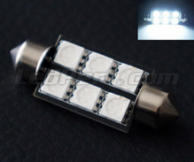 Hvide LED-pinolpære 39mm  - Full Intensity