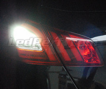 Baklys LED-pakke (hvid 6000K) til Peugeot 308 II