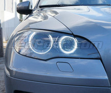Pakke angel eyes H8 med LED (6000K ren hvid) til BMW X5 (E70) - MTEC V3.0