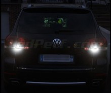 Baklys LED-pakke (hvid 6000K) til Volkswagen Touareg 7L