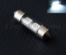 Hvide LED-pinolpære 31mm - C3W