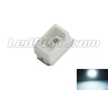 Mini LED SMD TL -Hvid - 100mcd