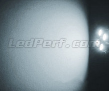 LED-parkeringslys-pakke (xenon hvid) til Suzuki Grand Vitara